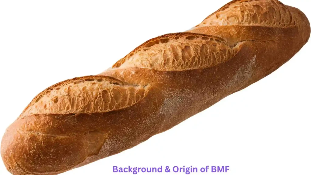 Background & Origin of BMF