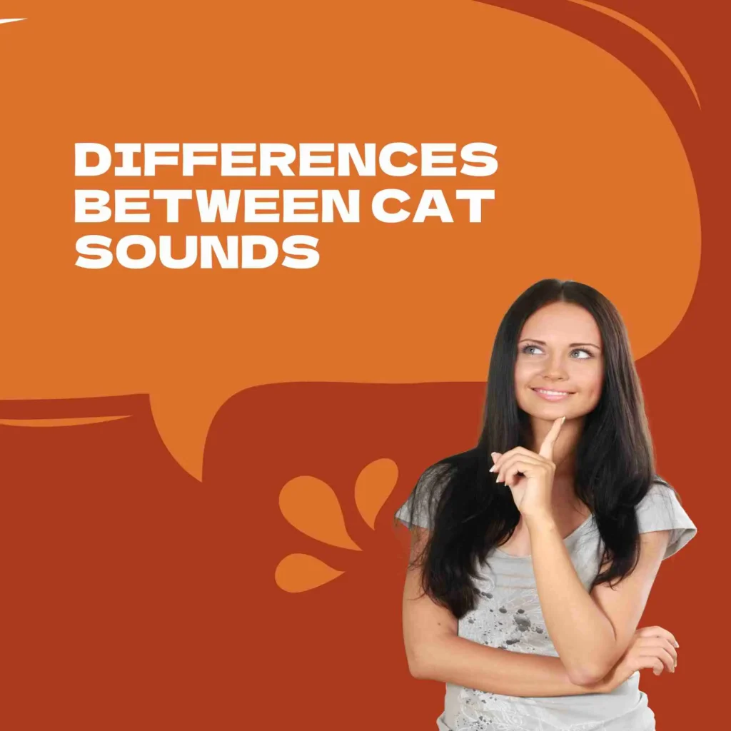 Differences Between Cat Sounds