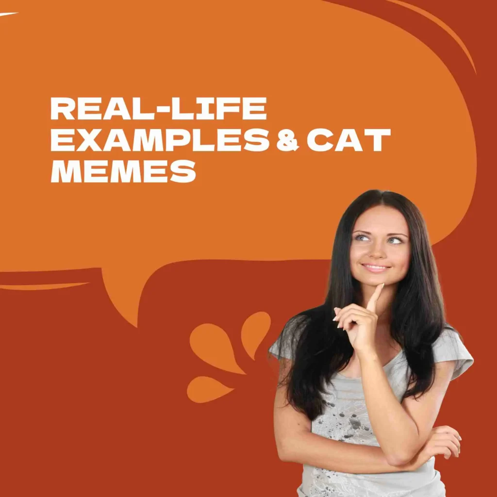 Real-Life Examples & Cat Memes