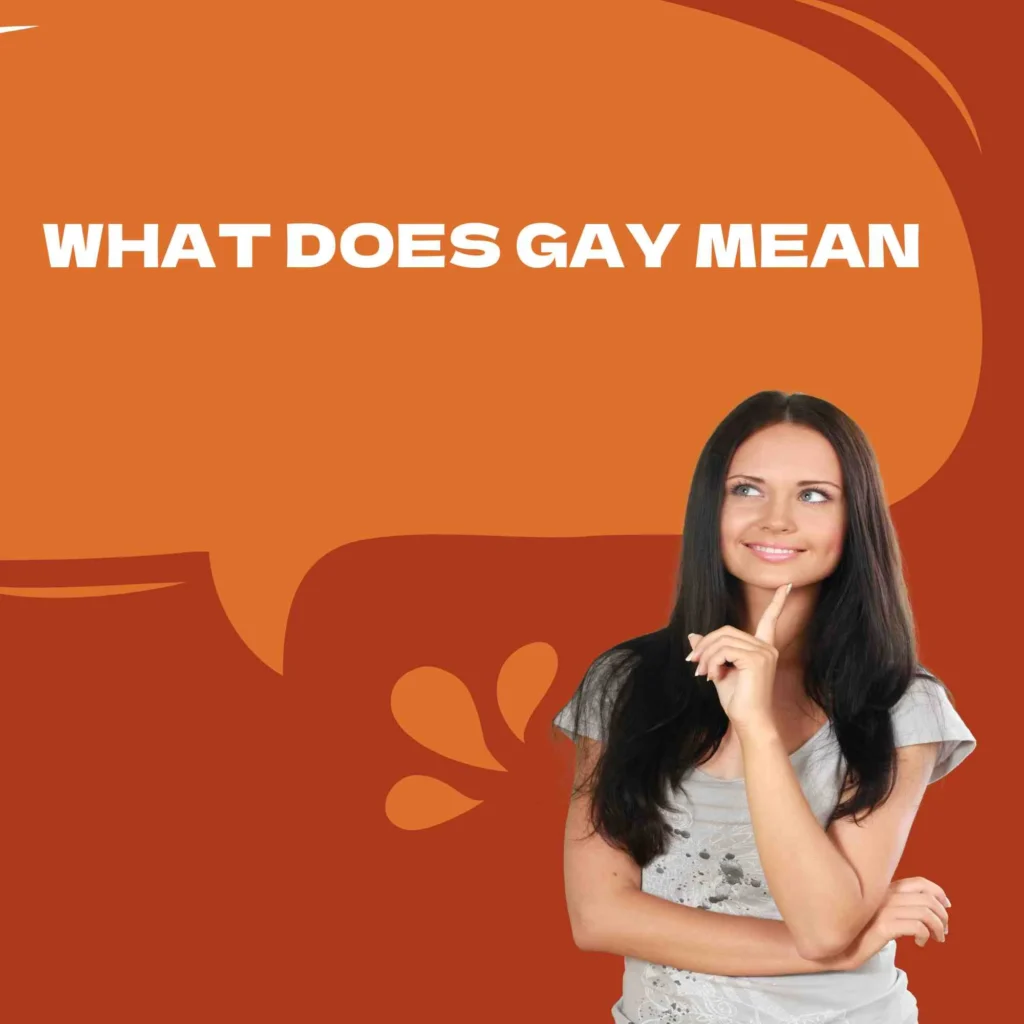 What Does Gay Mean