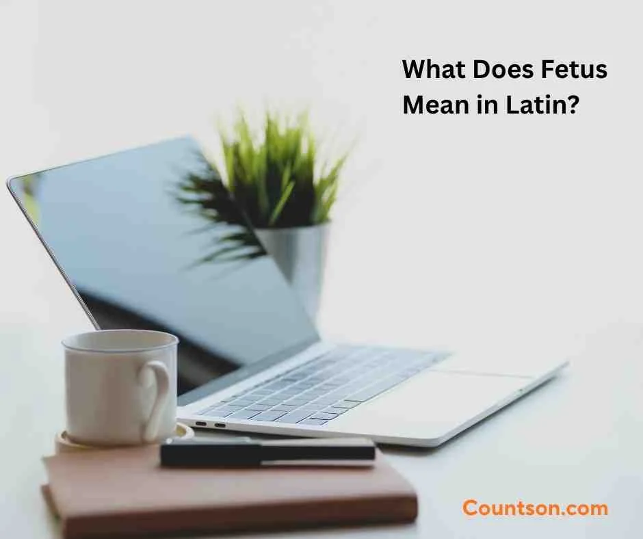 What Does Fetus Mean in Latin?