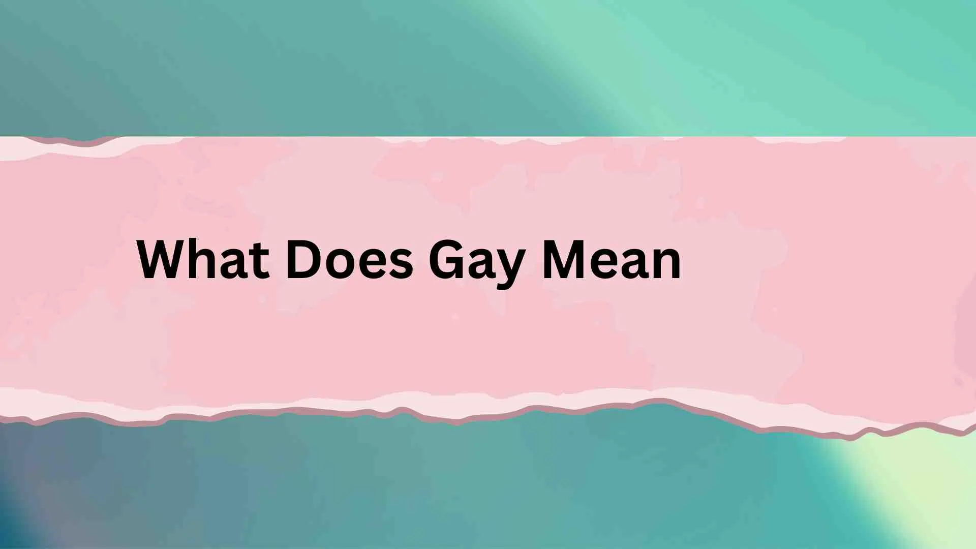 What Does Gay Mean