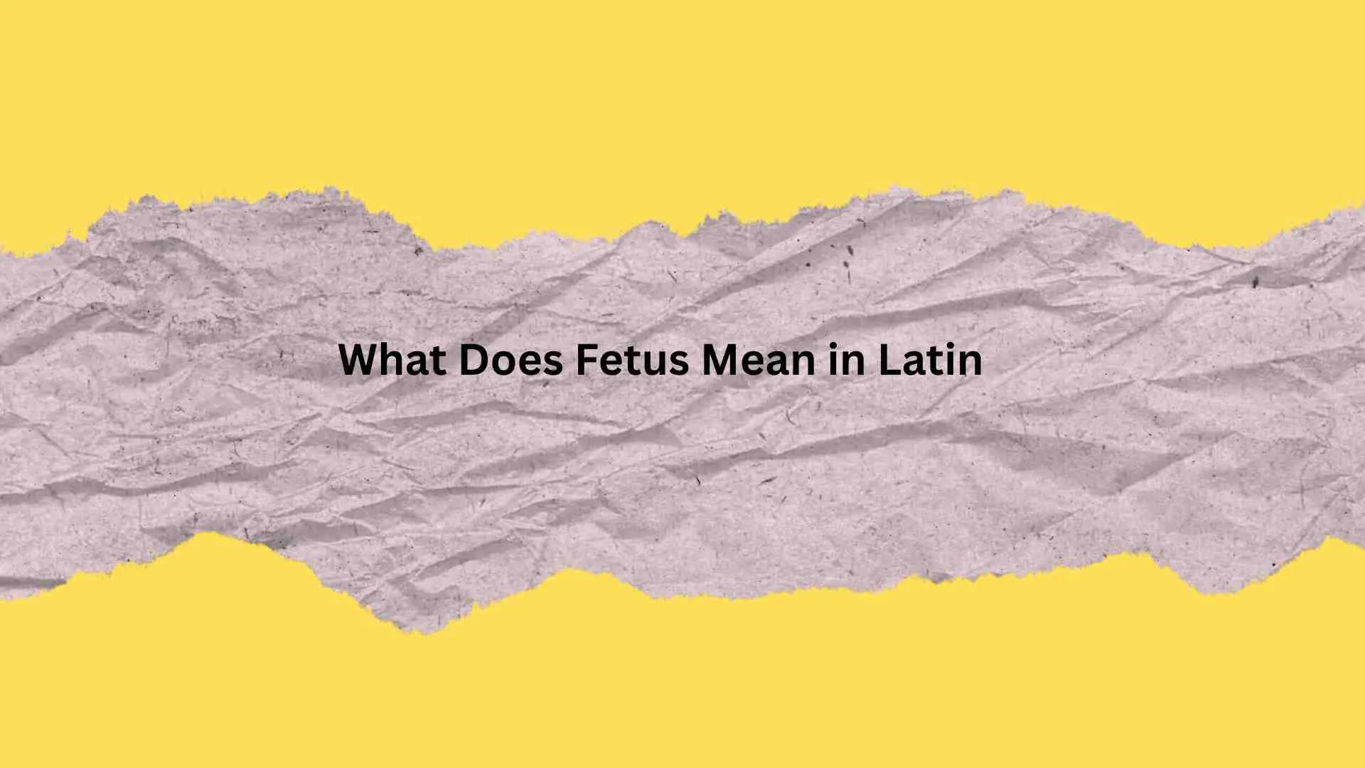 What Does Fetus Mean in Latin