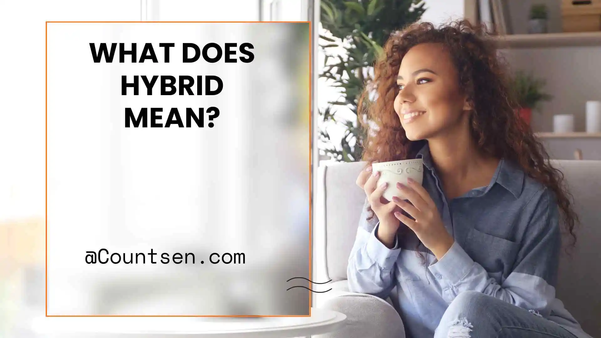 what does hybrid mean
