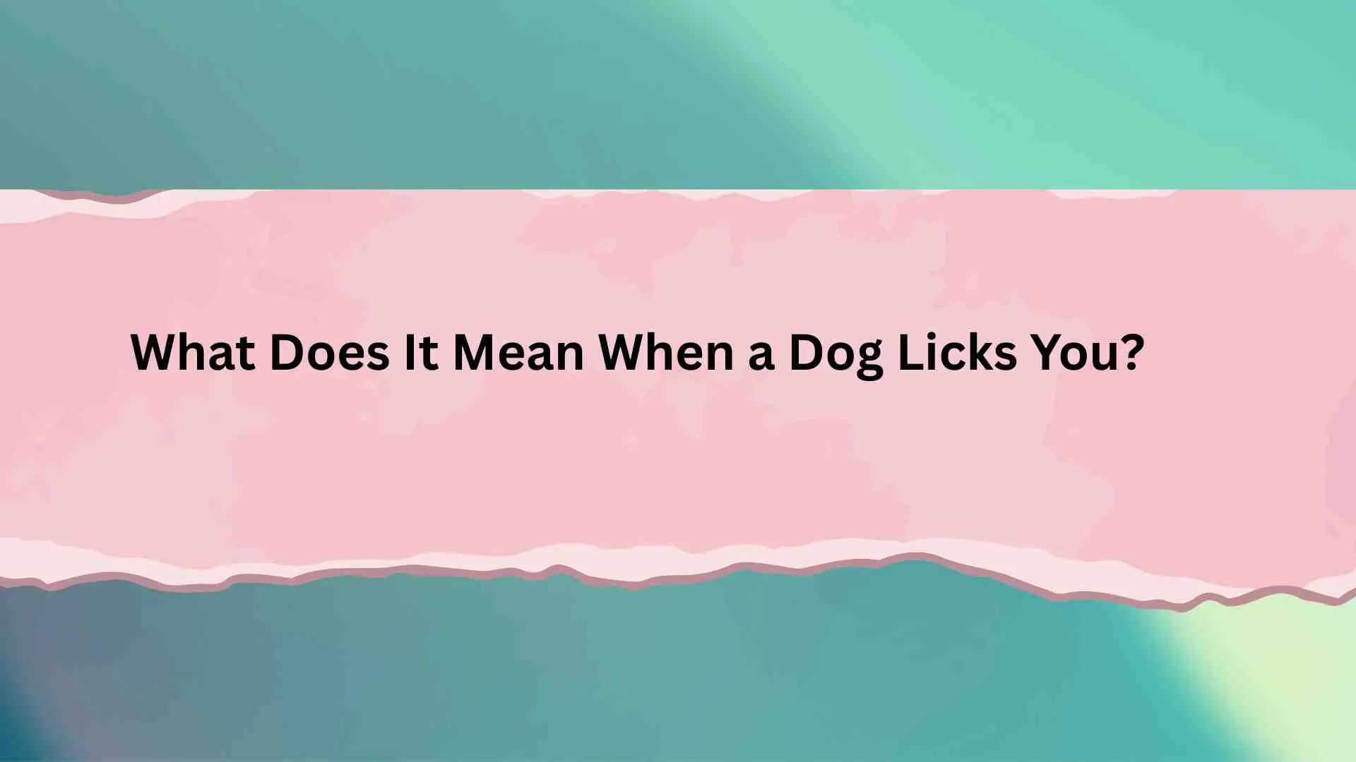 What Does It Mean When a Dog Licks You?